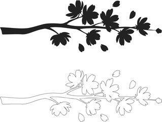 Fototapeta premium Cherry Blossom Branch Silhouette with Outline Version Sakura Flower Tree Plant Isolated on Transparent Background Vector Illustration