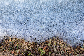 Blue ice crystals on forest floor. Blue ice crystals form delicate patterns against green leaves and earth, capturing a poetic moment where winter’s chill meets the lingering touch of summer.