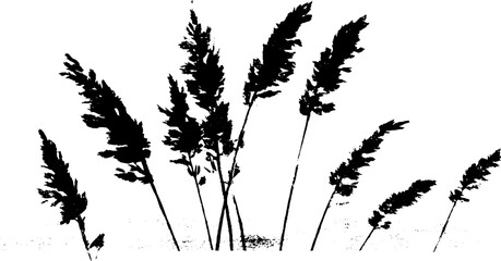 Black and white stencil illustration of dense coastal grasses
