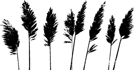 Black and white stencil illustration of desert grasses for nature prints and decor