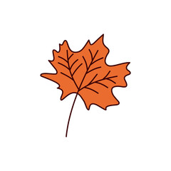 Obraz premium Autumn leaves collection handdrawn illustrations