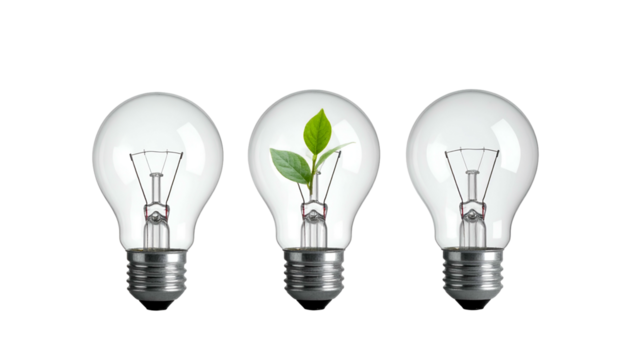 Three transparent light bulbs stand in a row. The middle bulb houses fresh green leaves, symbolizing growth and eco-consciousness - Powered by Adobe