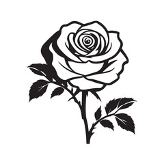 creative rose design using adobe illustrator and vactor..	