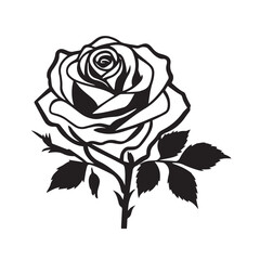 creative rose design using adobe illustrator and vactor..	