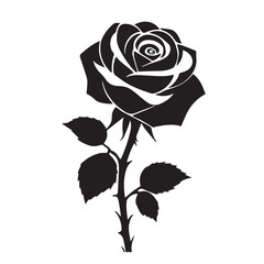 creative rose design using adobe illustrator and vactor..	