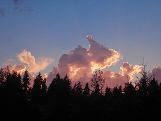 A western Washington sunrise in the mountains with clouds and silhouetted pine trees