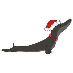 Dachshund Dog Vector Art