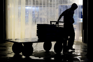 Man carrying trolleys to unload fish from the fishing boats in the port of Santa Pola town
