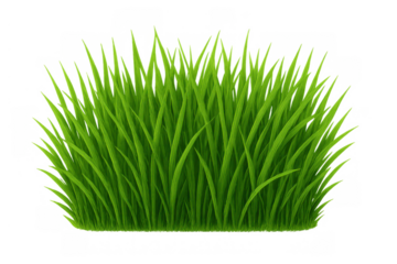 Lush green grass border offering natural growth, garden, and ecology concepts on transparent background