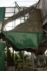 Machinery for olive processing in an olive oil mill