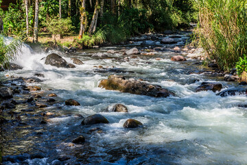 Agua de rio en movimiento