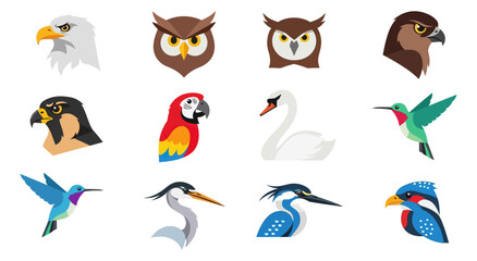 Diverse bird illustrations set on black background