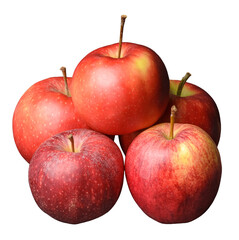 Apples, Malus, isolated on transparent png or white background