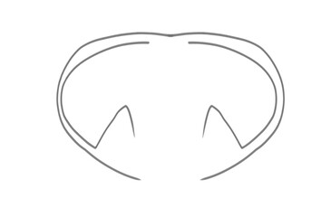 Simple line drawing of a stylized pair of eyes with double arched eyebrows on white background