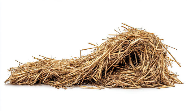 pile of straw isolated on a white background 