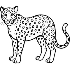 leopard vector illustration