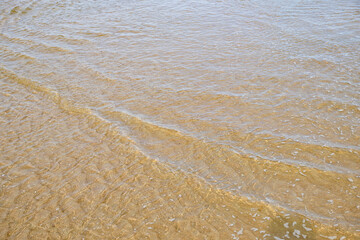 Small ripples of the glide over wet golden sand, creating subtle lines and calm seaside texture in warm natural daylight, perfect tranquil summer background with copy space