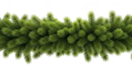 Dense Green Fir Tree Garland Border on Black Background christmas evergreen