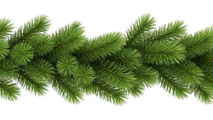Horizontal Border of Realistic Green Fir Tree Branches on Black Background christmas