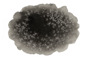 Black ink blob on a transparent background showing unique crystallized salt or frost forming a texture, watercolor style