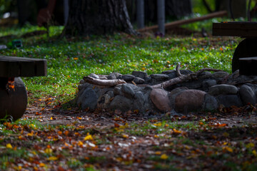 Wooden benches and campfire site in autumn forest recreation area