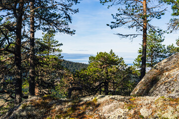 View from Bygdeborgen Borgen of the Toten&aring;sen Hills, Norway, a day in fall.