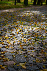 Autumn cobblestone path with yellow leaves and archway in park