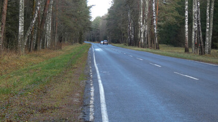 Road alongside trees with two vehicles visible in the distance during daylight hours in a rural area