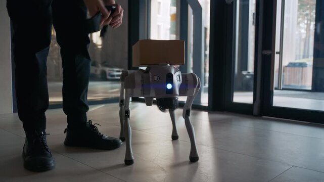 A technical delivery specialist securely attaches a cardboard box to the back of a quadrupedal robotic dog in a modern building lobby, finalizing the setup for an automated delivery mission.