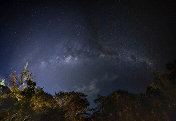 Star Trail Of Beautiful Brazilian Savannah Viewpoint