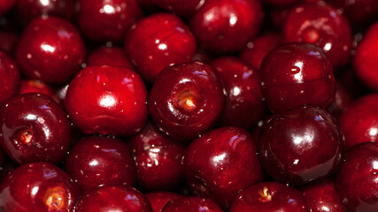 background of large ripe cherries. A large collection of fresh red cherries. Close-up of juicy berries, harvest season. Good harvest in the garden. healthy food, lots of vitamins, diet, vegetarianism