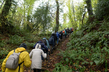 Randonneurs seniors sur un sentier en Bretagne