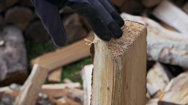 A close-up view of a gloved hand holding a split firewood log outdoors. Natural wood texture, forestry work and manual labor concept showing preparation of firewood in a rustic environment with axe.