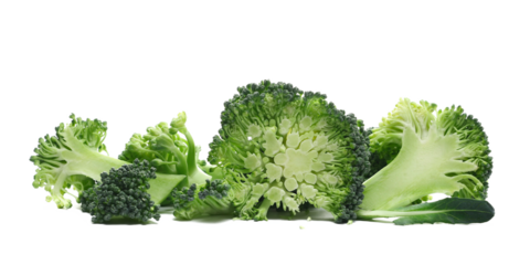 Fresh raw broccoli isolated on white background, side view
