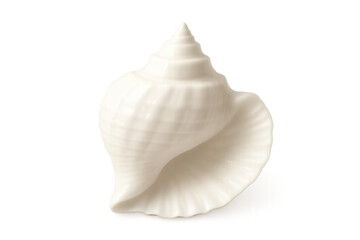 White conch shell displaying natural spiral patterns, a marine souvenir with a transparent background