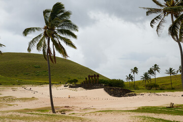Moai Statues at Anakena Beach, Easter Island, with Palms and Sand