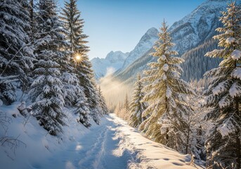 Snowy forest path bathed in golden sunlight amidst majestic mountains