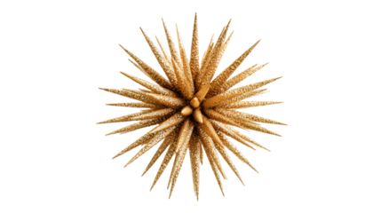 Golden spiky star looking down, sparkling decorative ornament for holiday celebrations on transparent background