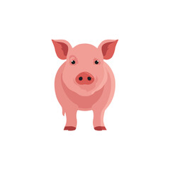 Fototapeta premium Cute Pink Pig Cartoon on White Background
