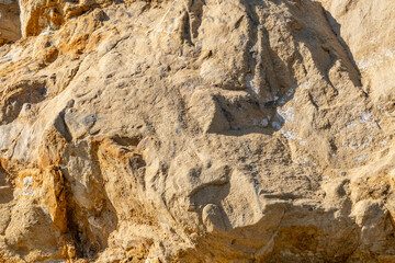 Marine sandstone, siltstone, shale, and conglomerate （Topanga Group）. Heisler Park, Laguna Beach is a city in Orange County, California, United States. Pacific Ocean. coastal terrace
