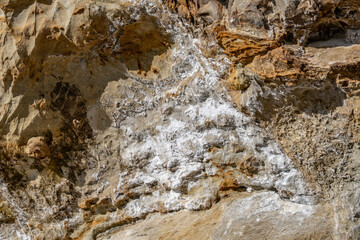 Marine sandstone, siltstone, shale, and conglomerate （Topanga Group）. Heisler Park, Laguna Beach is a city in Orange County, California, United States. Pacific Ocean. coastal terrace
