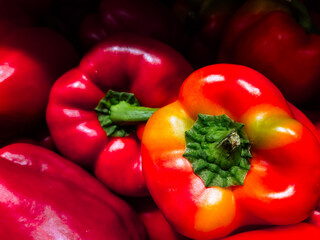 Harvest of colorful peppers ready for healthy cooking and autumn recipes 