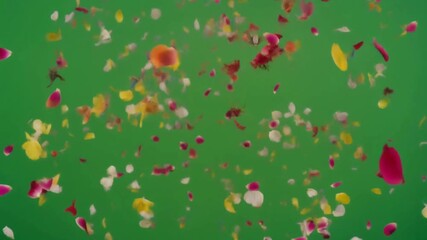 Minimal botanical graphic Green screen Floral frame soft green aesthetic flower ornament transparent chroma key animation for presentation template social media and promotional video