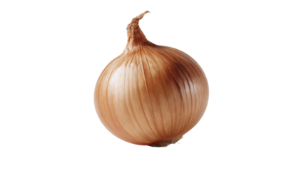 Whole yellow onion bulb with papery skin on transparent background for healthy cooking ingredient