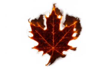 Maple leaf burning, showing autumn heat, wildfire risk, and environmental warming concepts with glowing embers on transparent background