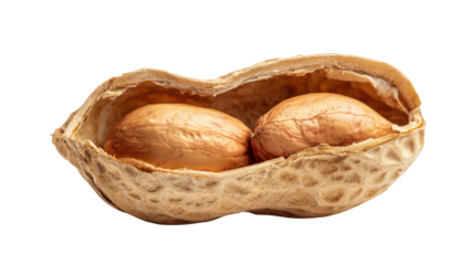 Peanut in opened shell revealing two raw kernels, healthy snack for nutrition and diet, transparent background