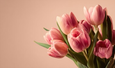 Fototapeta premium A bouquet of pink tulips