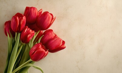 A bouquet of red tulips on a white background