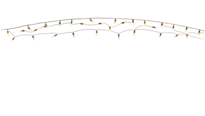 Arch of numerous small illuminated light bulbs gracefully hanging against a transparent background