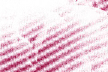 Macro Halftone Print of Pink Flower Petals